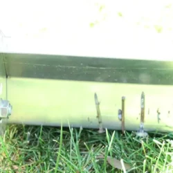 Balai magnétique Ecko avec fonction enveloppante sur l'herbe