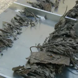 Échantillon de débris ramassés par des aimants