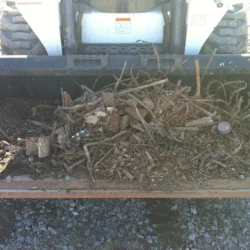 Kyles Lawn and Landscape (pelouse et paysage)