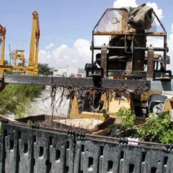 Sample of debris picked up by the sweeper