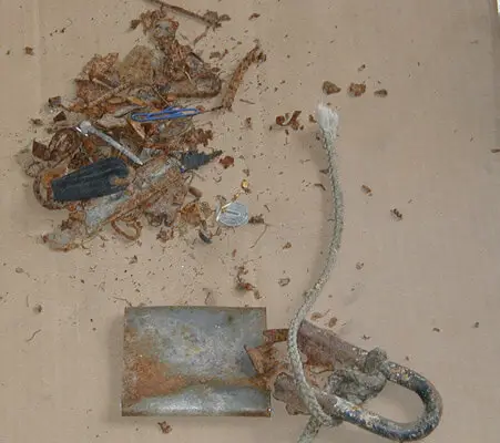 wrasse hanging magnetic sweeper