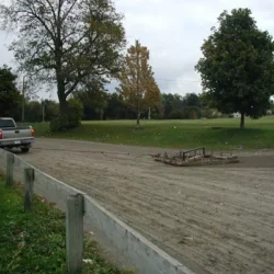 Wrasse with debris at race track