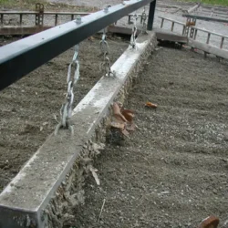 An eight foot Wrasse 98