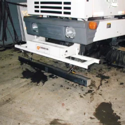 Wrasse Hanging Magnet