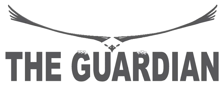 Guardian magnetic sweeper