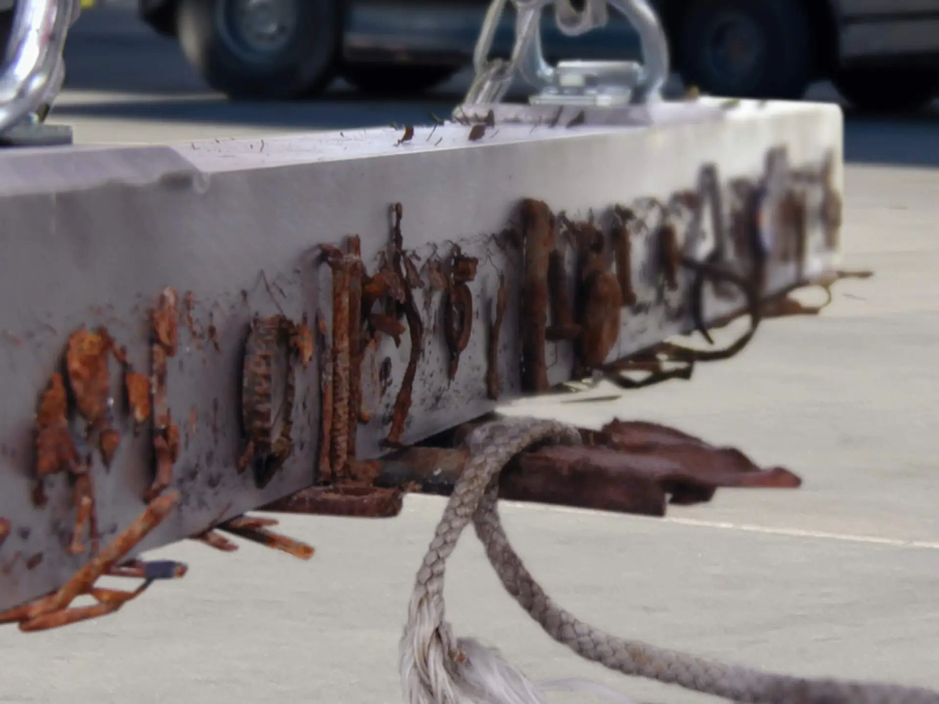 Aimant wrasse sur béton avec débris 2000