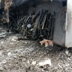 Aimant Longhorn caractéristique enveloppante Bluestreak Equipment