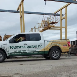 Mammoth on industrial concrete yard