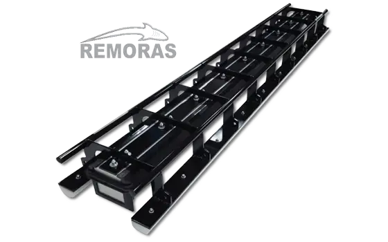 Remoras Magnet