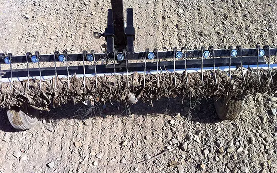 Hog Tow Behind Magnet