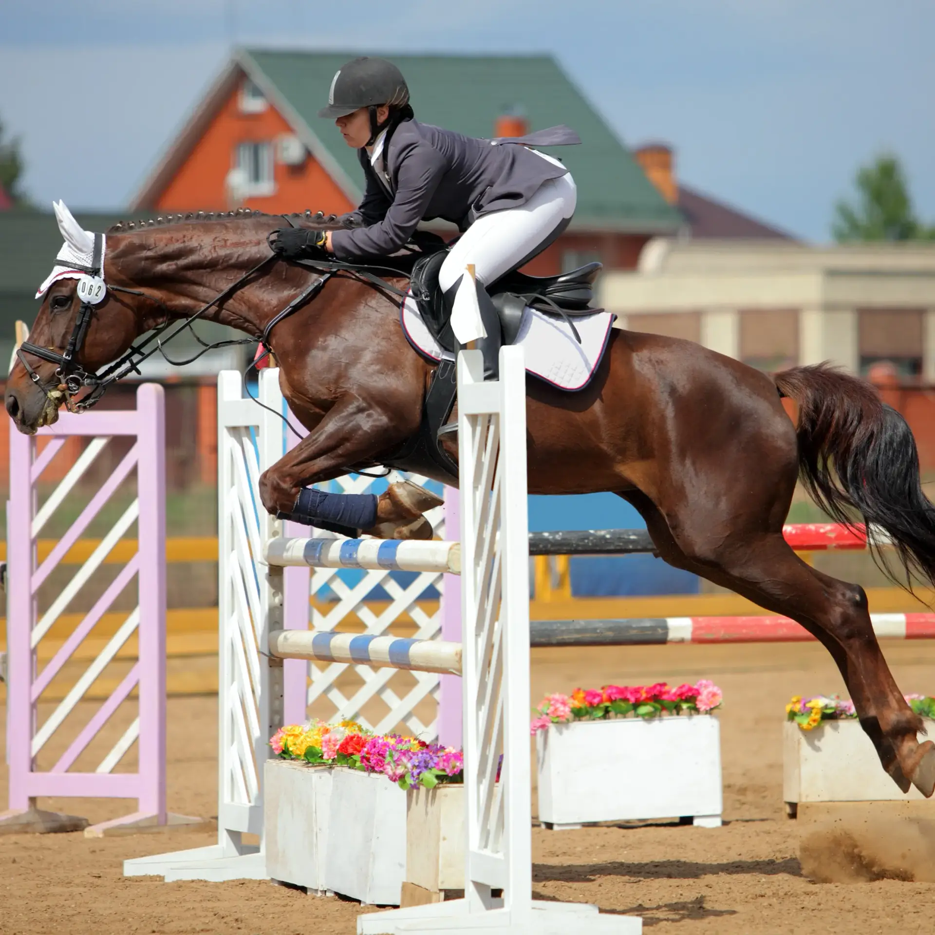 Equine Facilities Magnetic Sweepers