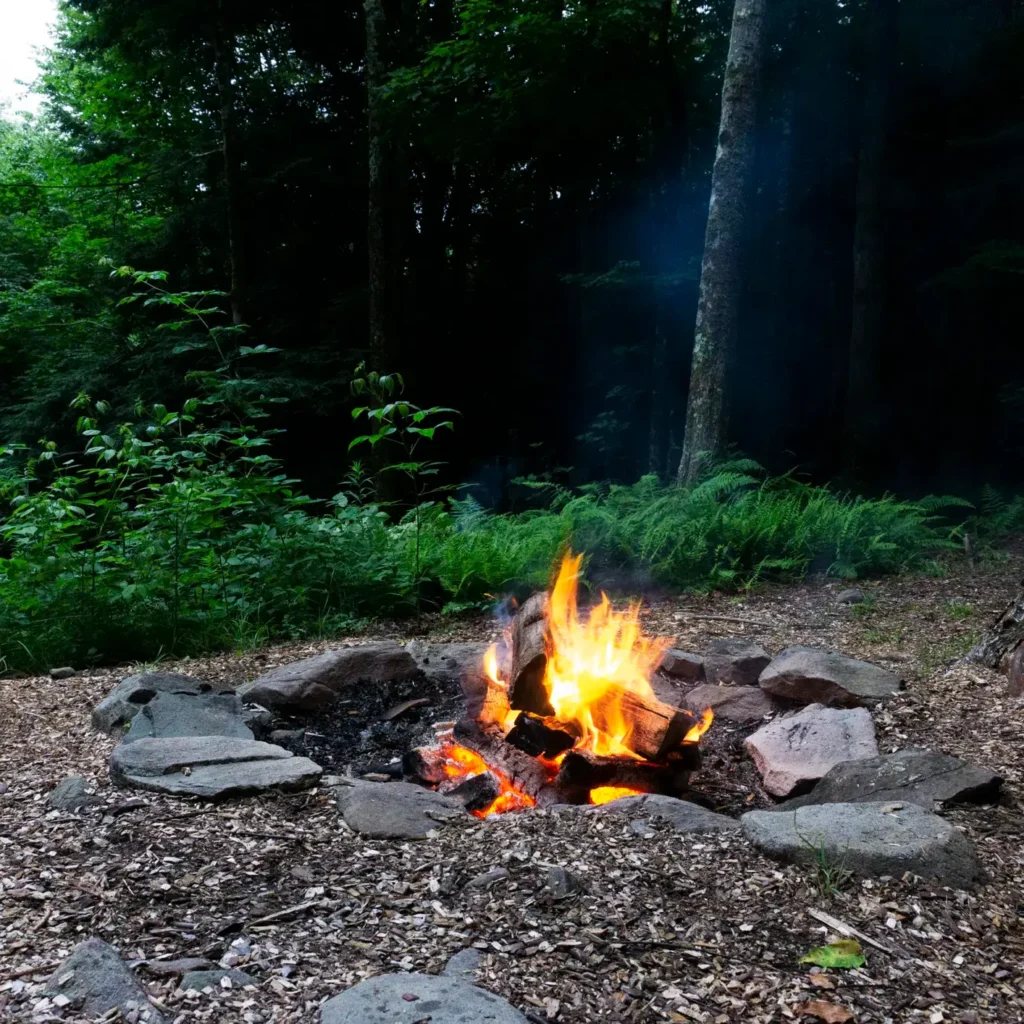 Park Magnetic Sweepers
