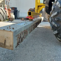 Wrasse magnet closeup debris collection