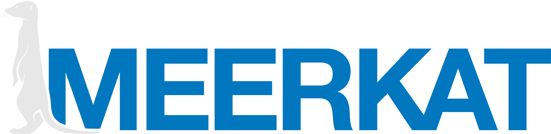 Meerkat Magnetic Sweeper Logo