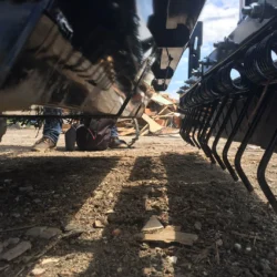 MeerKat optionnel D&eacute;bris Creuser Ratisser Garde-pierre Gros plan de c&ocirc;t&eacute;