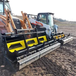 Sokoke Meerkat Comparison