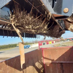 Función envolvente Sokoke