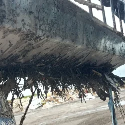 Lynx Magnetic Sweeper Debris Collection