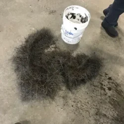 Aether debris collection airport magnet