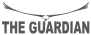 Guardian magnetic sweeper